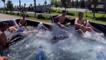 Antalya'da sıcaklıkla mücadelede ilginç yöntem! Kamyonet kasasını havuz yaptılar