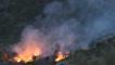 2 günde 10 orman yangını! 'Çok büyük bir ekolojik felaket'
