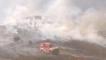 Malatya'da anız yangını! 700 dönümlük arazi küle döndü