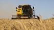 TMO üreticilerden 1 milyon tonun üzerinde buğday ve arpa aldı