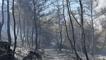 Menderes'teki orman yangınlarında 1 tutuklama
