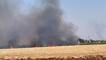 Şanlıurfa'da 206 kişiye anız yangını cezası: 14 milyon TL