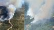 İzmir'de orman yangını! Müdahale sürüyor