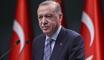 Cumhurbaşkanı Erdoğan, MHP lideri Bahçeli ile telefonda görüştü
