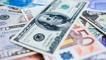 Dolar ve euroda son durum ne?