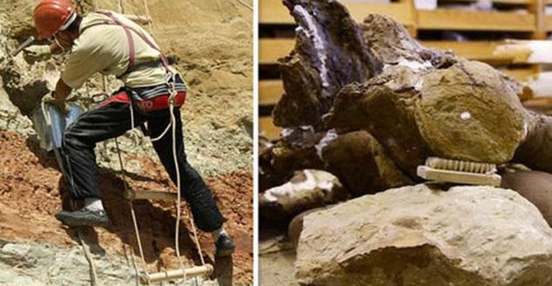 Sibirya Titanı adlı yeni bir dinozor türü keşfedildi