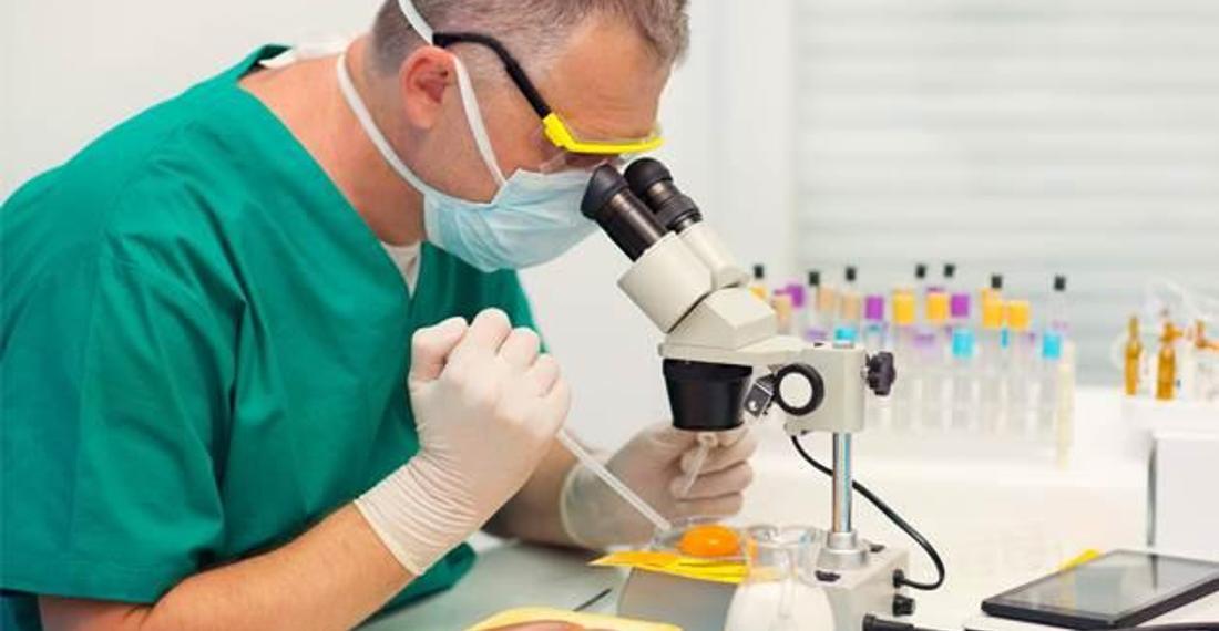 Salmonella virüsü nedir? Salmonella nasıl bulaşır? Lactalis ve Salmonella