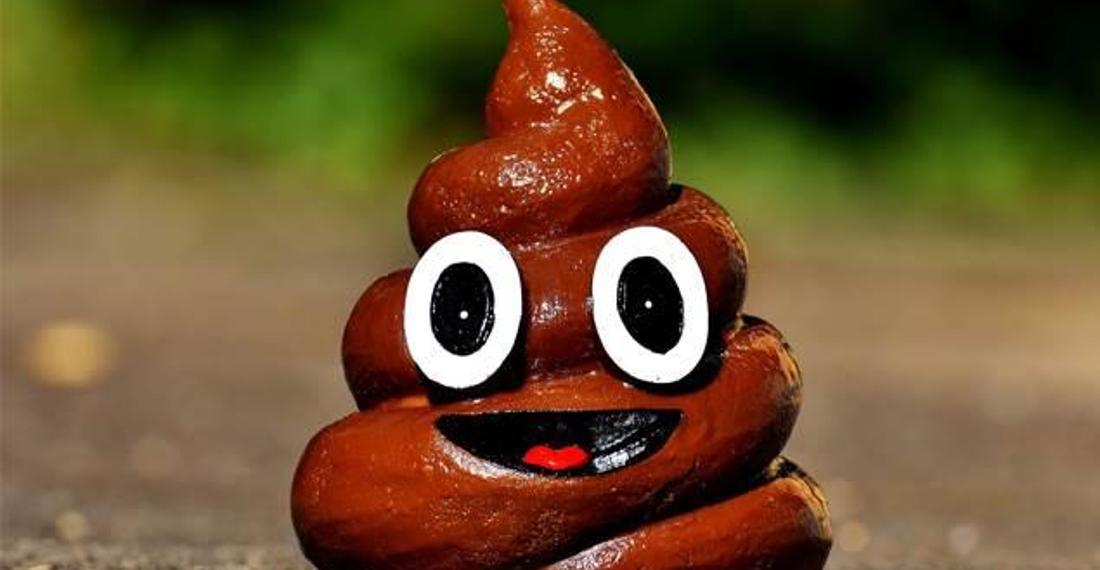 Kaka emojisi lütfen artık daha fazla dışlanmasın