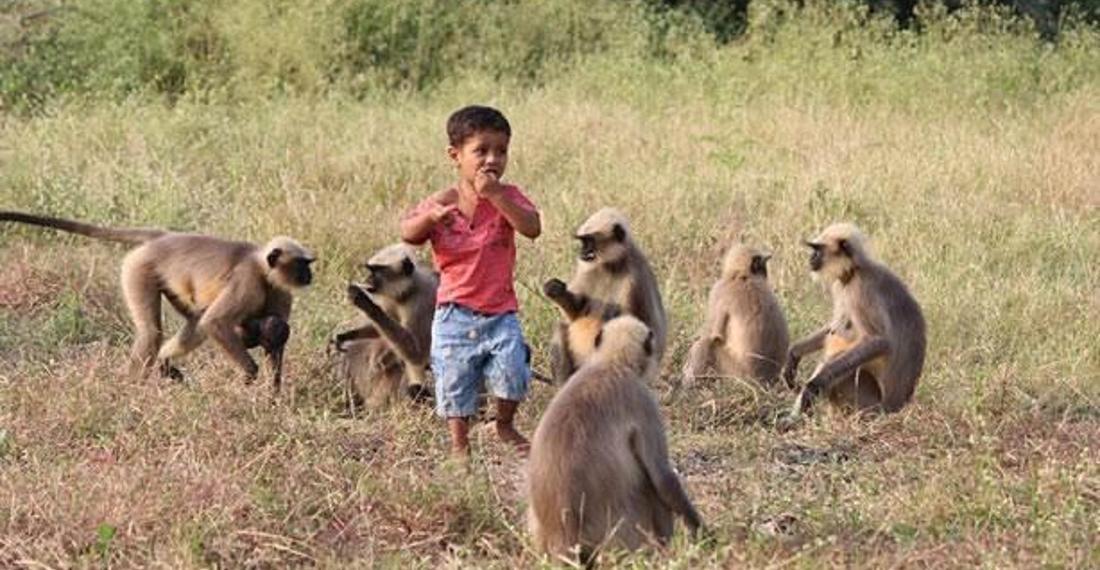 Maymunları kontrol edebilen çocuğu tanrı ilan ettiler