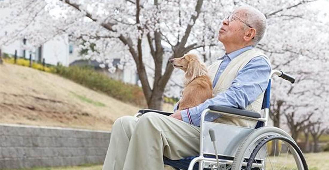 Japonya'daki yaşlıların yalnızlık formülü: Hırsızlık yapmak