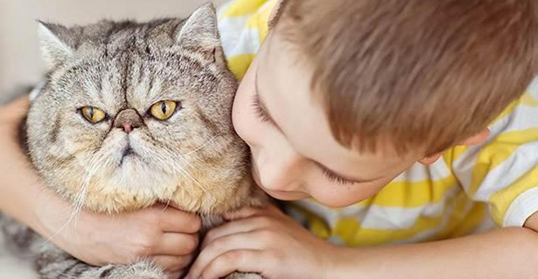 Evcil hayvanları anlamak için birbirinden şahane 3 icat