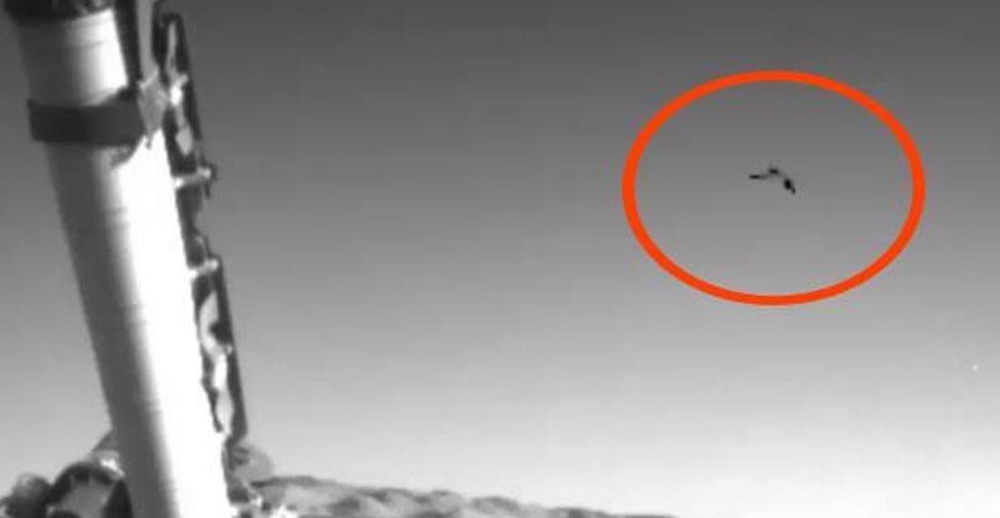 Mars'ta kuş bulunduğu öne sürüldü