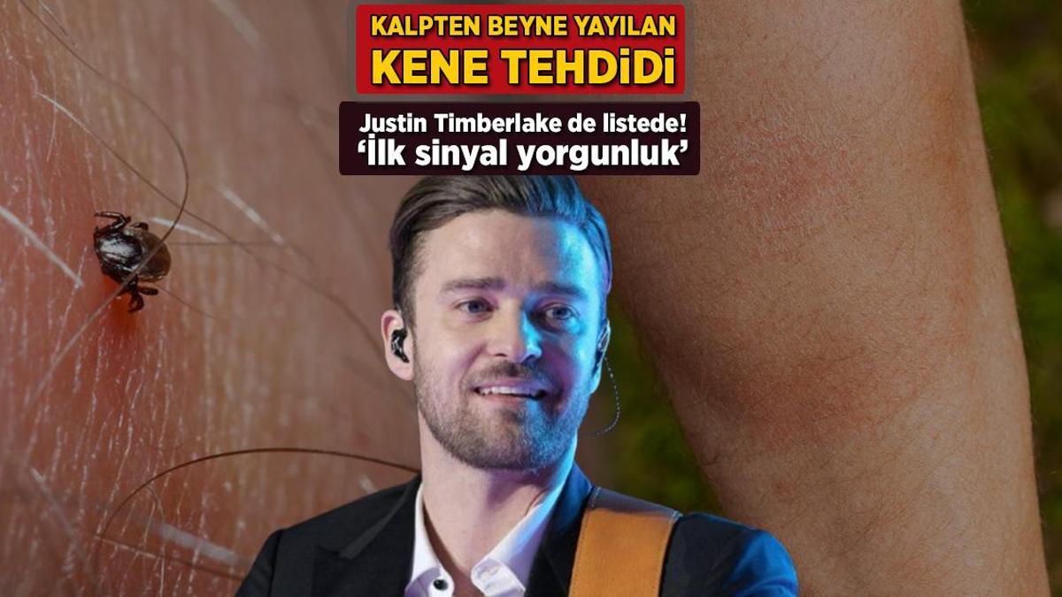 Dikkat Çekici Uyarı! Justin Timberlake de Lyme Hastalığı Riski Altında: İlk Belirtiler Nelerdir?