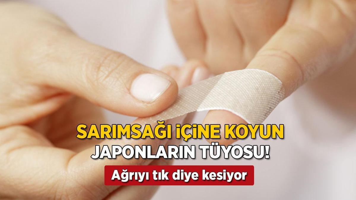 Sarımsağı yara bandına koyun! Japonların vazgeçilmez tüyosu, ağrıyı tık diye kesiyor