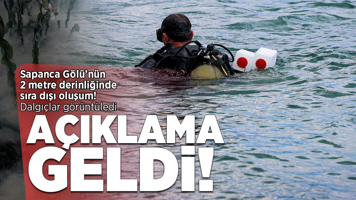 Sapanca Gölü'nün 2 metre derinliğinde sıra dışı oluşum! Açıklama geldi