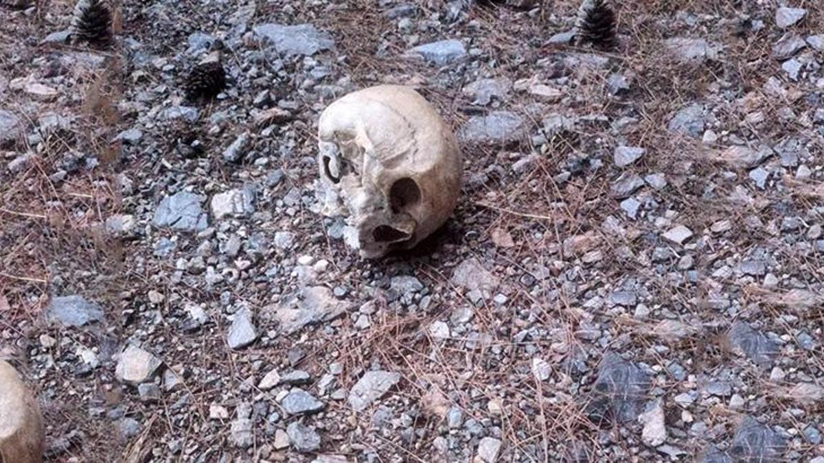 Gazipaşa'da ormanda kafatası bulundu, incelemeye alındı