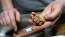 İtalya'dan geldi, 7 ilden topluyor: Kilosu 150 euro... Toprağın altındaki servet