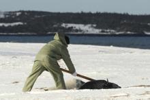 Katliam başladı...