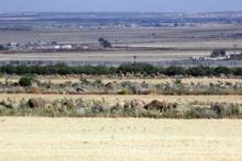 Sınıra yeni önlem: Akıllı kule