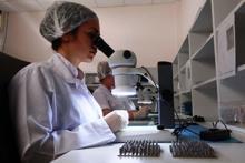 Yerli implantlar Amerikan pazarına giriyor