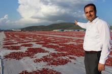 Siverekte yılda 500 ton kurutulmuş domates üretiliyor