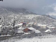 Kilometrelerce yol gittiler Tek amaçları ise...
