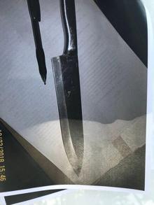 Arkadaşlarının kanını içeceklerdi… Satanist çocuklar kan dondurdu