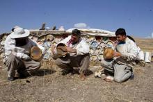 Arap ülkelerinin gözdesi: Karakovan balı