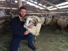 Çobanı evlilik vaadiyle dolandıran genç kadın tutuklandı