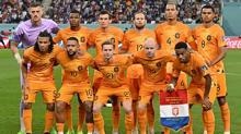 Hollanda - ABD maçından kareler