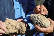 Yıllardır herkes sıradan bir taş sanıp yanından geçip gitti Bingölde paha biçilemez keşif