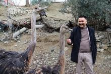 Bir tanesi ayda 16 yumurta veriyor Tanesi 500 lira: Bebek gibi bakıyorum