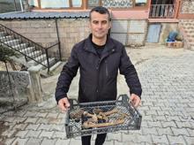 Yüzyıllardır suyun altındaydı Kıyıya vuran küplerin içinden çıktı