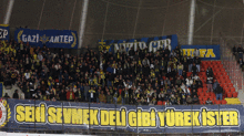 Gaziantep FK-Fenerbahçe maçından fotoğraflar