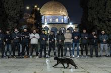Mescid-i Aksa 41 gün sonra ibadete açıldı İşte bölgeden sıcak görüntüler