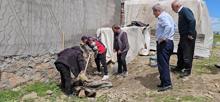 3 metrelik dev yılan evin altına yuva yaptı, belediye harekete geçti: Aileme zarar verecek diye korkuyoruz