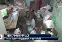Yaşlı kadının feryadı