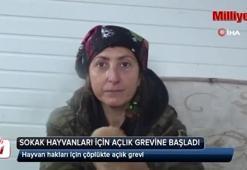 Sokak hayvanlarının haklarını böyle savunuyor!
