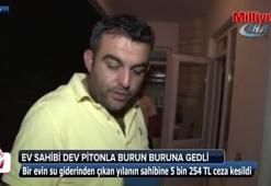 Ev sahibinin balkonda piton yılanıyla burun buruna geldiği anların cezası belli oldu