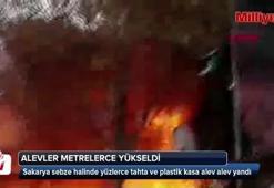 Şehrin en uzak noktasından bile görüldü