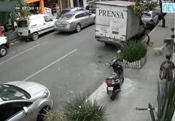 Önce köpekler, ardından sahipleri birbirine saldırdı!