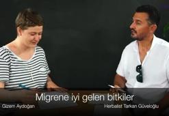 Migrene iyi gelen bitkiler neler?