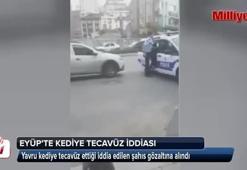 Eyüp'te kediye tecavüz iddiası