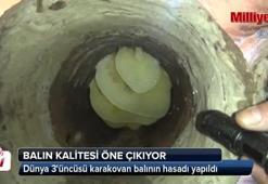 Bitlis'te dünya 3'üncüsü karakovan balının hasadı yapıldı