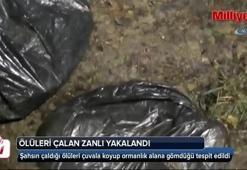 Polonya’da ölüleri çalan zanlı yakalandı