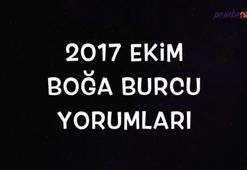 Boğa Burcu Ekim 2017 Burç Yorumları