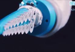 İnsan dostu robot: Biyonik ahtapot