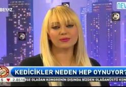 Kediciklere zor soru: Şehitler var neden oynuyorsunuz?