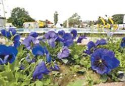 Kültürpark rengarenk