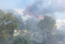 Bursa'da korkutan orman yangını